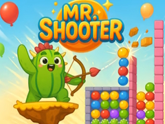 เกม Mr Shooter