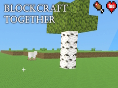 เกม BlockCraft Together