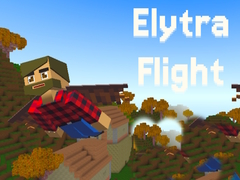 เกม Elytra Flight