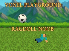 เกม Voxel Playground: Ragdoll Noob