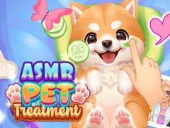 เกม ASMR Pet Treatment