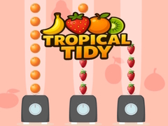 เกม Tropical Tidy