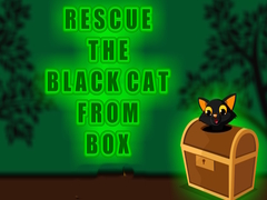 เกม Rescue the Black Cat from Box