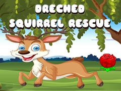 เกม Drenched Squirrel Rescue