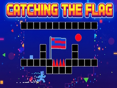 เกม Catching the Flag