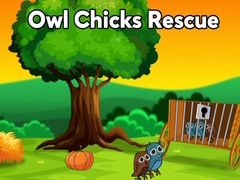 เกม Owl Chicks Rescue from Cage