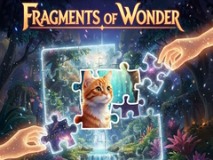 เกม Fragments of Wonder