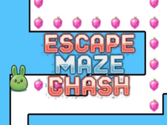 เกม Escape Maze Chush