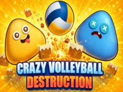 เกม Crazy Volleyball Destruction