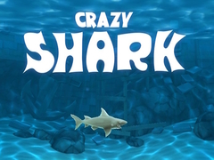 เกม Crazy Shark