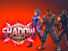 เกม Shadow Combat