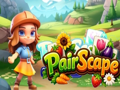 เกม Pair Scape