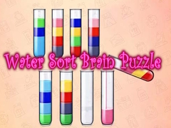 เกม Water Sort Brain Puzzle