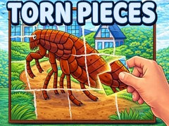 เกม Torn Pieces