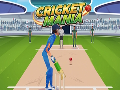 เกม Cricket Mania