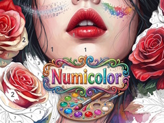 เกม Numicolor