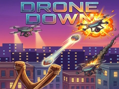 เกม Drone Down