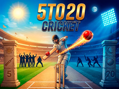 เกม 5TO20 Cricket