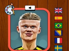 เกม Haaland Coloring Book