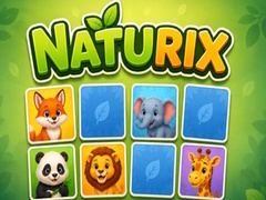 เกม Naturix
