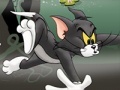 เกม Tom And Jerry Chase In Marsh