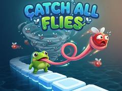เกม Catch All Flies