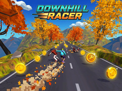 เกม Downhill Racer