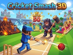 เกม Cricket Smash 3D