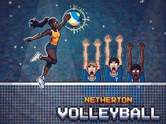 เกม Netherton Volleyball