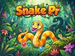 เกม Snake Pr