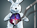 เกม Save The Bunny