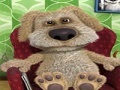 เกม Talking Ben the Dog