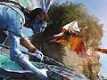 เกม Avatar: Find The Numbers