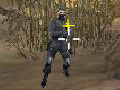 เกม Flash crisis